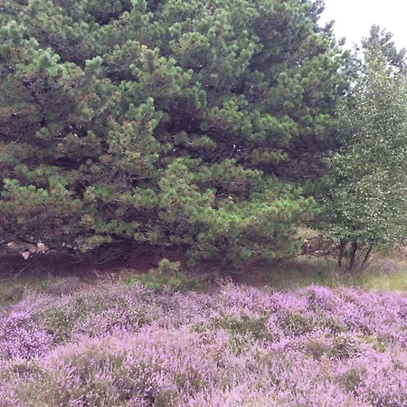 Emilla - 3-8km From The Sea By Interhome *