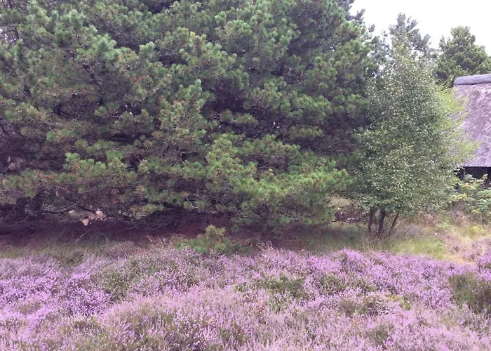 Emilla - 3-8km From The Sea By Interhome *